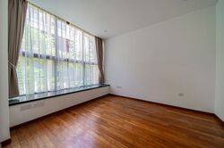 Holland Link (D10), Terrace #503034941